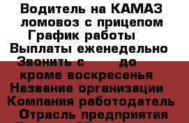 Водитель на КАМАЗ-ломовоз с прицепом.График работы 6/1.Выплаты еженедельно. Звонить с 13.00 до 20.00 кроме воскресенья › Название организации ­ Компания-работодатель › Отрасль предприятия ­ Другое › Минимальный оклад ­ 65 000 - Все города Работа » Вакансии   . Владимирская обл.,Радужный г.